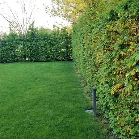 Minimal Design Free Parking Garden Villa