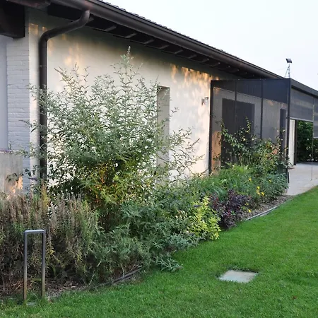 Willa Minimal Design Free Parking Garden *