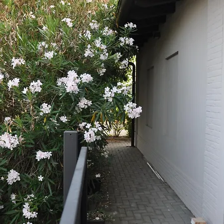 Minimal Design Free Parking Garden Willa Palazzina (Emilia-Romagna)